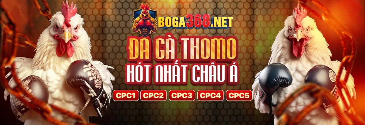 Hướng dẫn bắt đầu tại 7clubs trang chủ chính thức